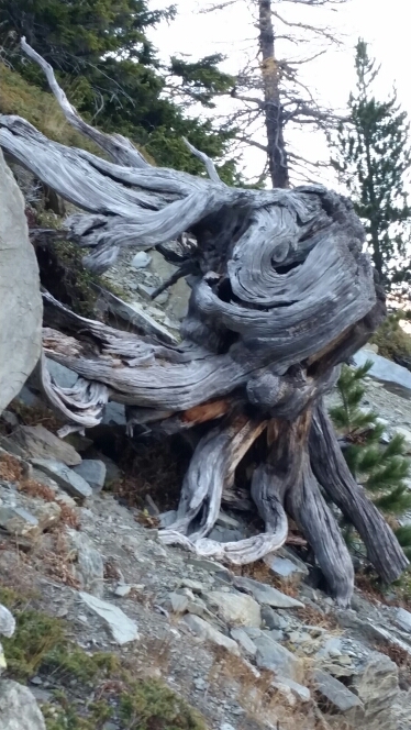 20141028_162359.jpg image