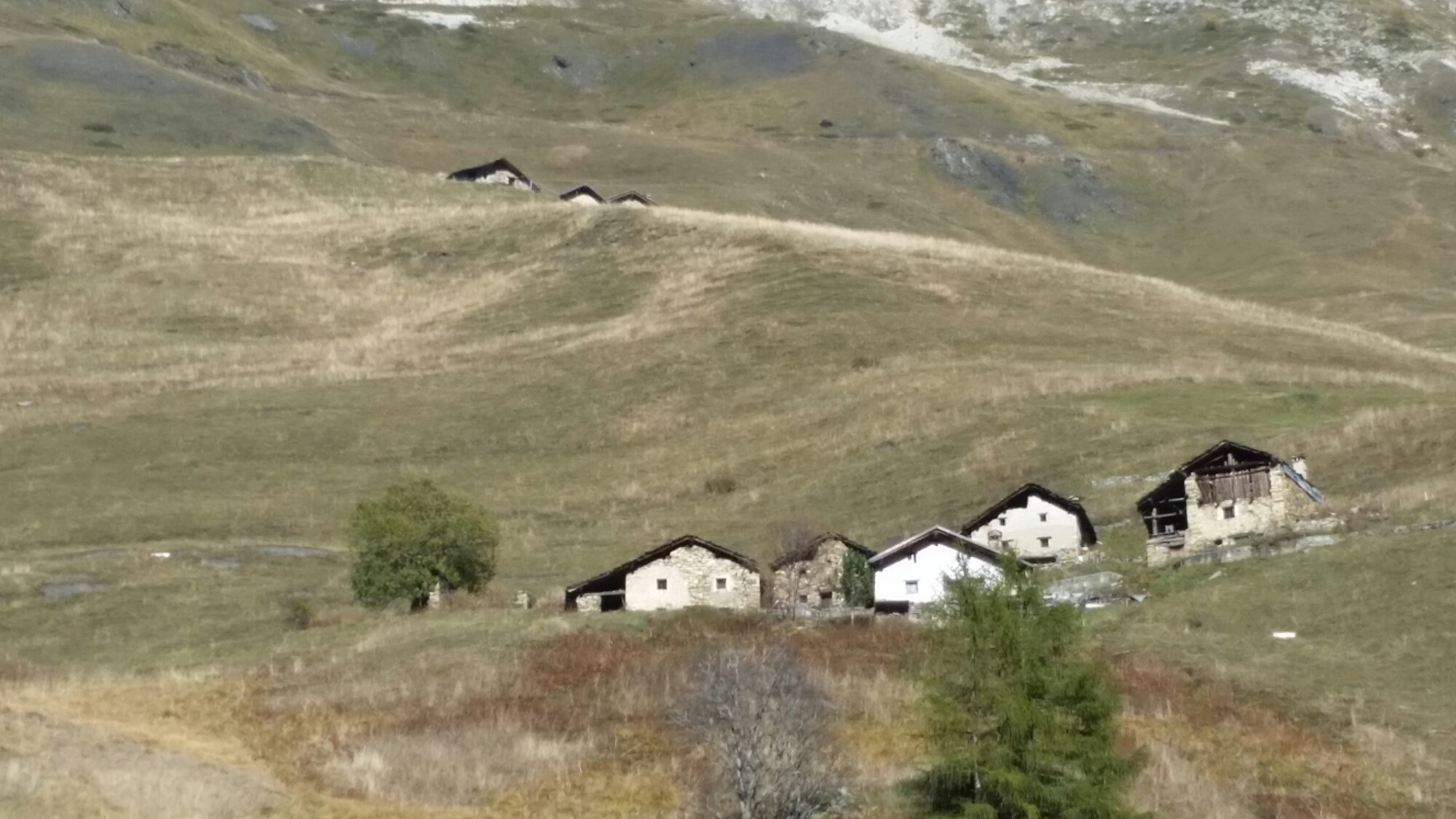 20141027_133053.jpg image